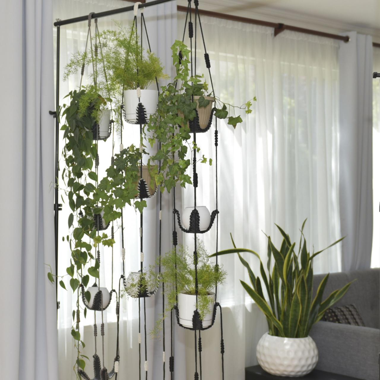 The Best Plants for Vertical Hanging Displays