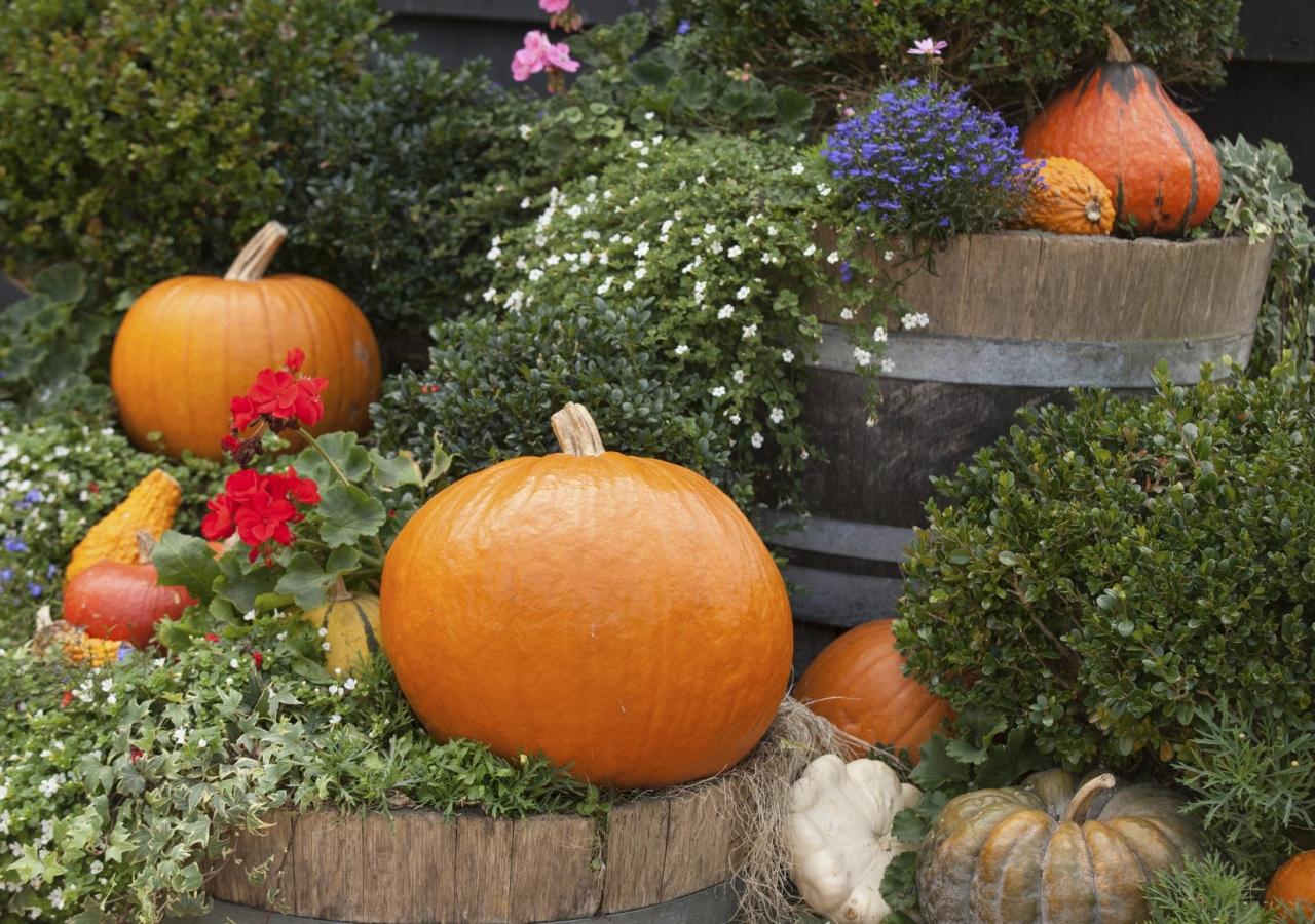 Best Houseplants to Pair With Halloween-Themed Lights