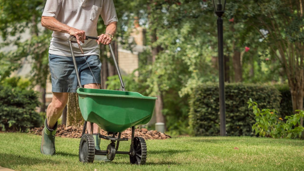 How to Achieve a Lush Lawn by Sowing Grass Seed at the Right Time in the UK