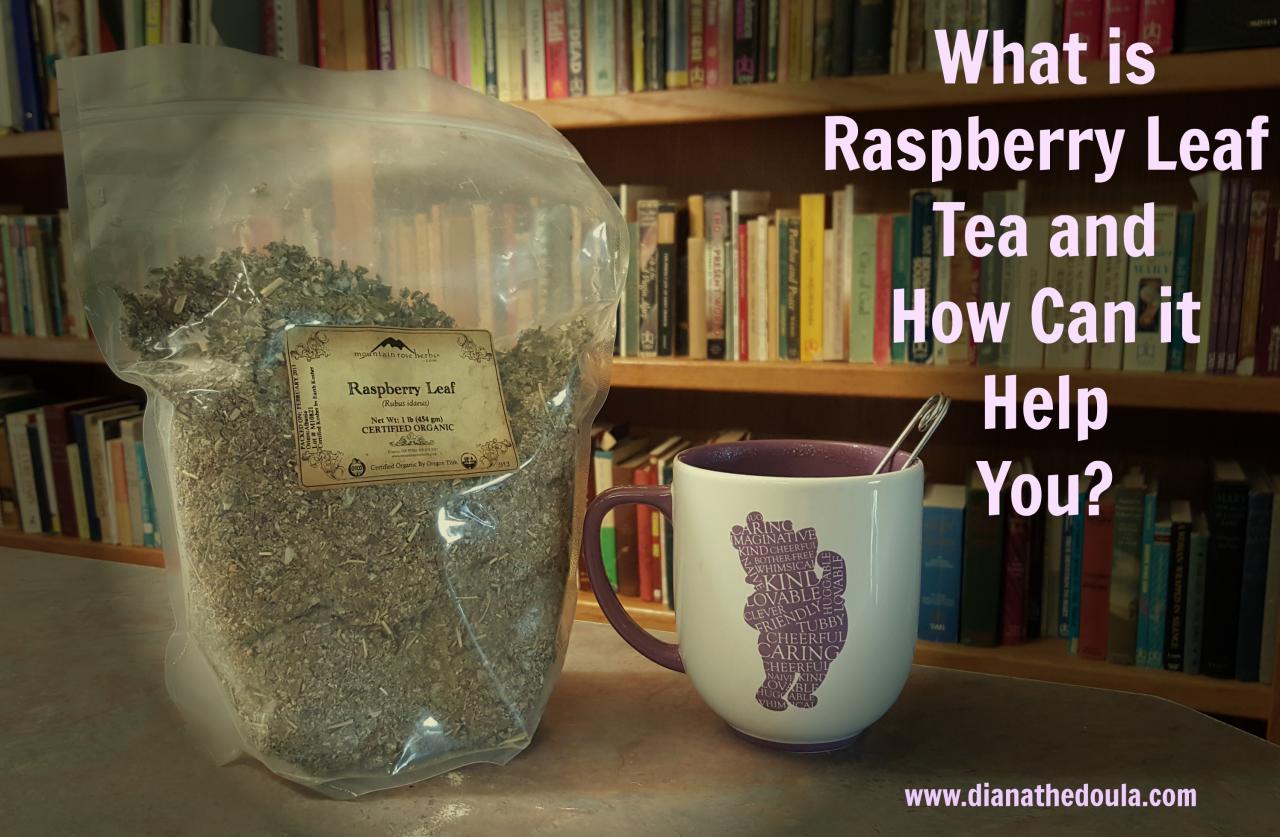 When is the Ideal Time to Begin Your Raspberry Leaf Tea Regimen?